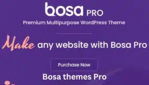 Bosa themes Pro