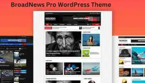 BroadNews Pro WordPress Theme