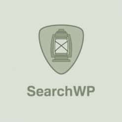 Home 73 SearchWP-brands-247x247