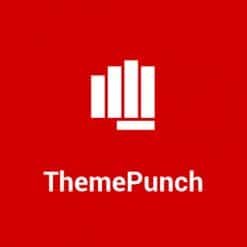 Home 79 ThemePunch-brands-247x247
