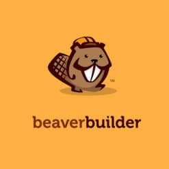 Home 43 m-beaver-builder-247x247